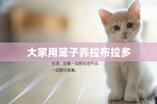 大家用籠子養拉布拉多