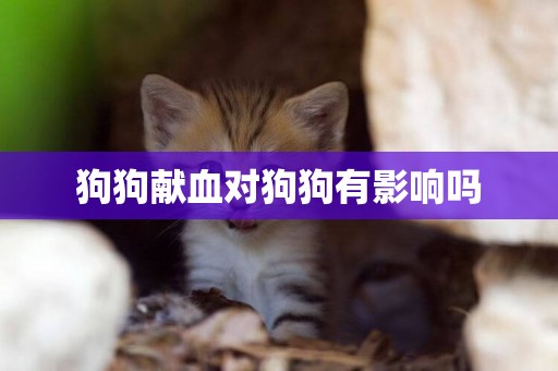 狗狗獻血對狗狗有影響嗎