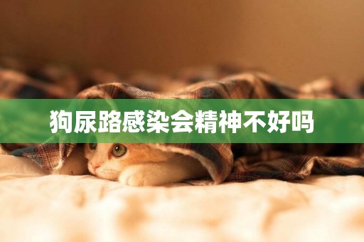 狗尿路感染會精神不好嗎