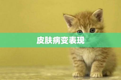 皮膚病變表現