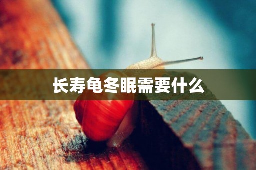長壽龜冬眠需要什么