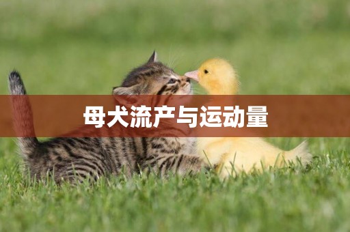 母犬流產與運動量