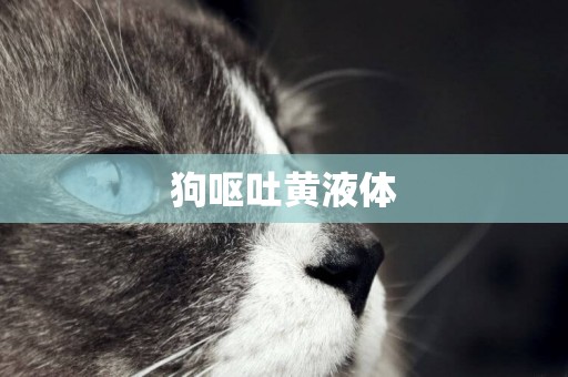 狗嘔吐黃液體