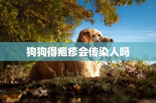 狗狗得皰疹會傳染人嗎