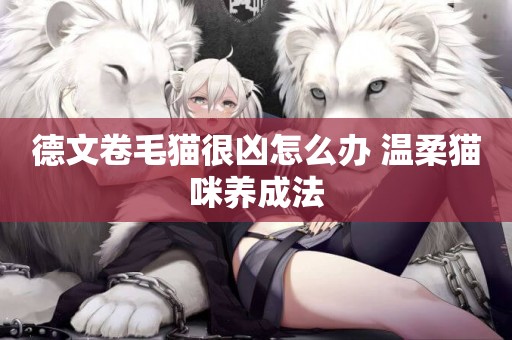 德文卷毛貓很兇怎么辦 溫柔貓咪養成法