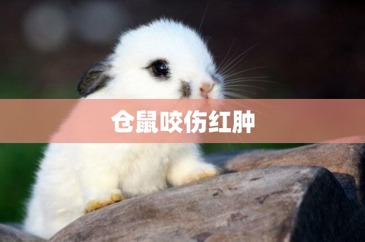 倉鼠咬傷紅腫