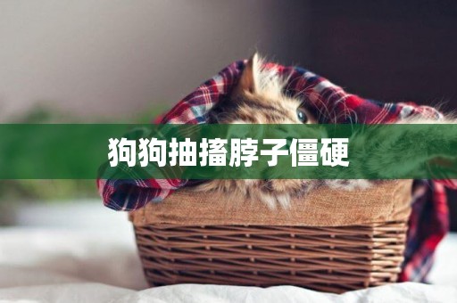狗狗抽搐脖子僵硬