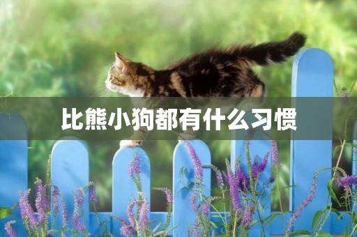 比熊小狗都有什么習慣