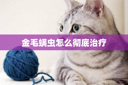 金毛螨蟲怎么徹底治療