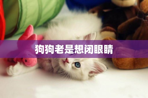 狗狗老是想閉眼睛