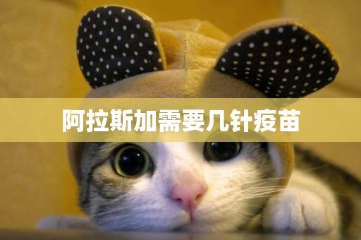 阿拉斯加需要幾針疫苗