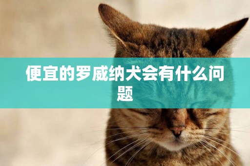 便宜的羅威納犬會有什么問題