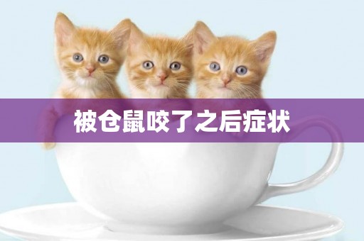 被倉鼠咬了之后癥狀