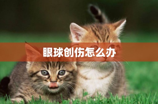 眼球創傷怎么辦