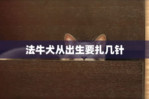 法牛犬從出生要扎幾針