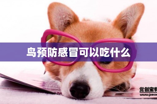 鳥預防感冒可以吃什么