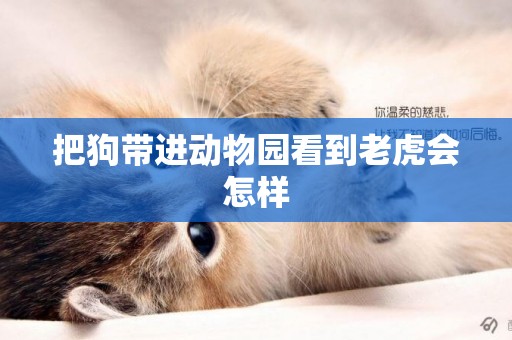 把狗帶進動物園看到老虎會怎樣