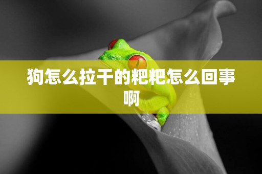 狗怎么拉干的粑粑怎么回事啊