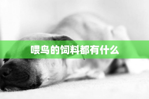 喂鳥的飼料都有什么