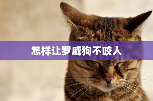 怎樣讓羅威狗不咬人