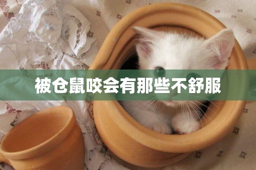 被倉鼠咬會有那些不舒服