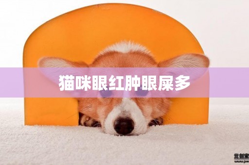 貓咪眼紅腫眼屎多