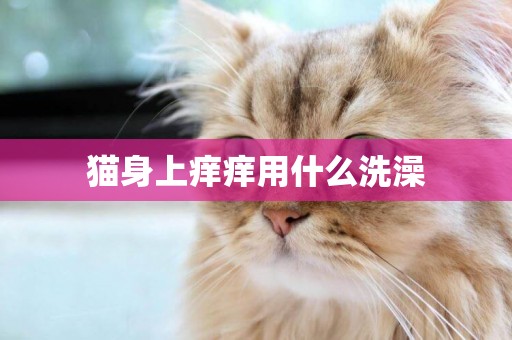 貓身上癢癢用什么洗澡