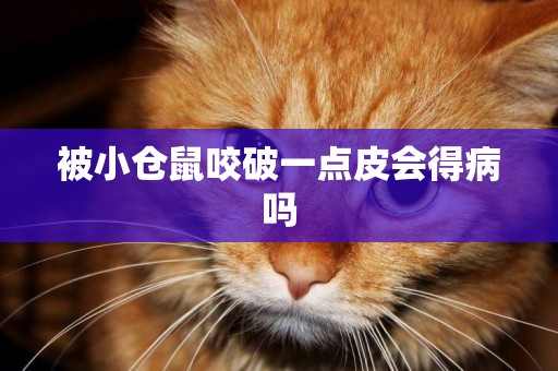 被小倉鼠咬破一點皮會得病嗎