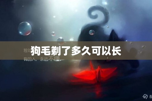 狗毛剃了多久可以長