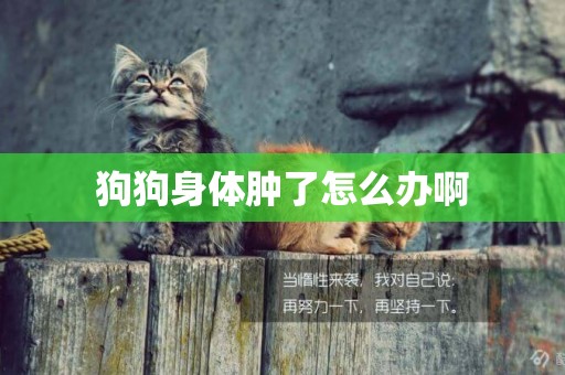 狗狗身體腫了怎么辦啊