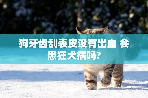 狗牙齒刮表皮沒有出血 會患狂犬病嗎?