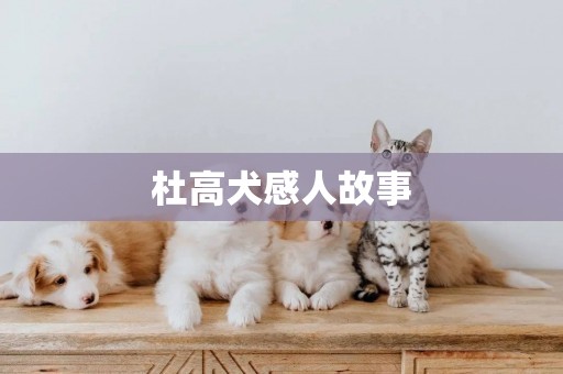 杜高犬感人故事