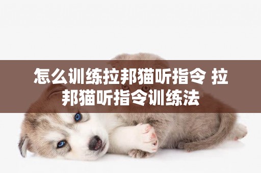 怎么訓練拉邦貓聽指令 拉邦貓聽指令訓練法