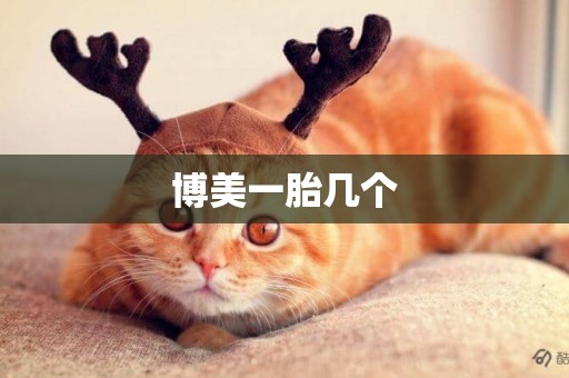 博美一胎幾個