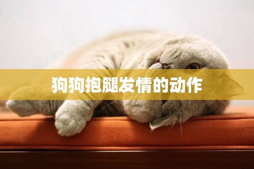 狗狗抱腿發情的動作