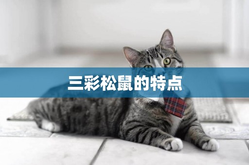 三彩松鼠的特點