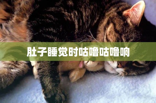 肚子睡覺時咕嚕咕嚕響