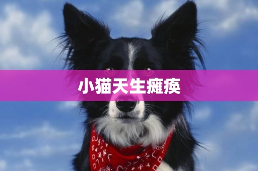 小貓天生癱瘓