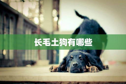 長毛土狗有哪些