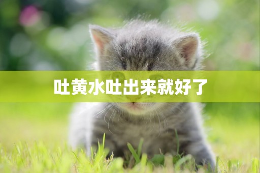 吐黃水吐出來就好了
