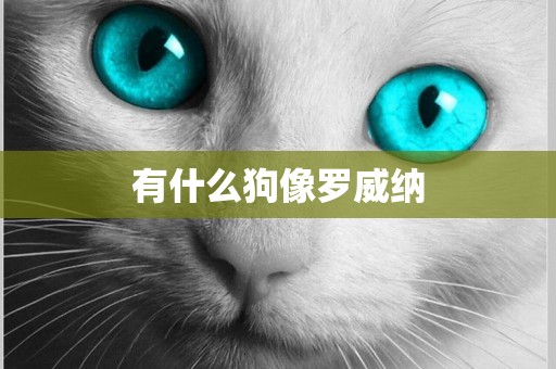 有什么狗像羅威納