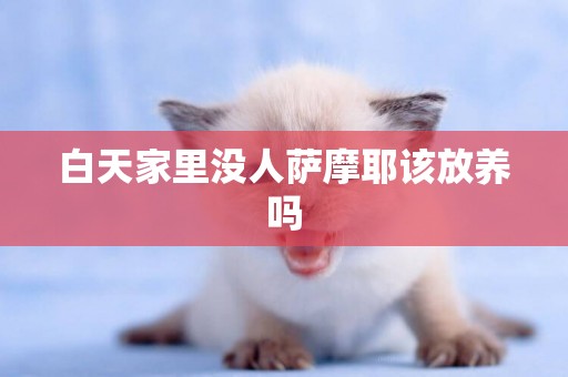 白天家里沒人薩摩耶該放養嗎