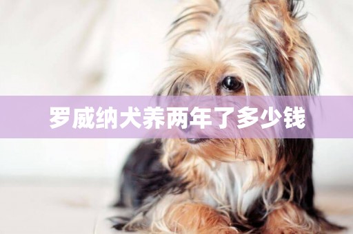 羅威納犬養兩年了多少錢