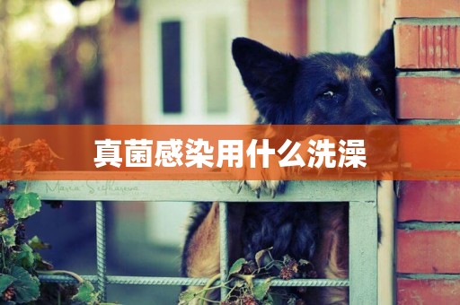 真菌感染用什么洗澡