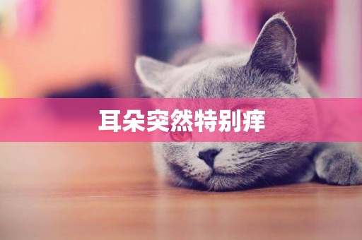 耳朵突然特別癢