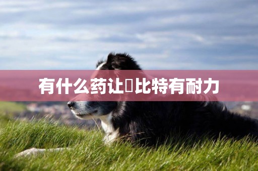 有什么藥讓恵比特有耐力