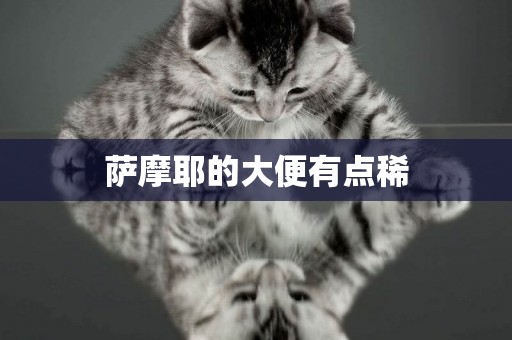 薩摩耶的大便有點稀