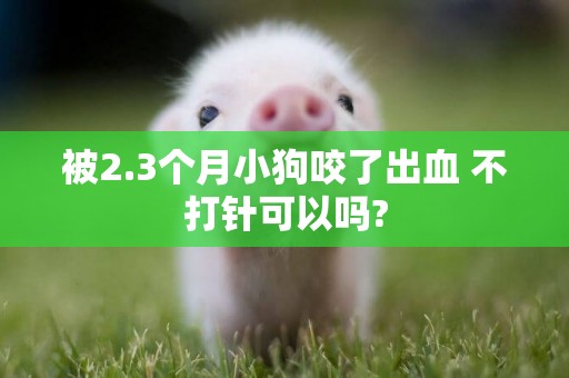 被2.3個月小狗咬了出血 不打針可以嗎?