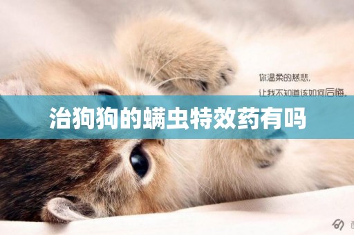 治狗狗的螨蟲特效藥有嗎