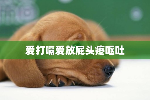愛打嗝愛放屁頭疼嘔吐